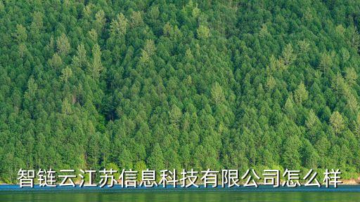 智鏈云江蘇信息科技有限公司怎么樣