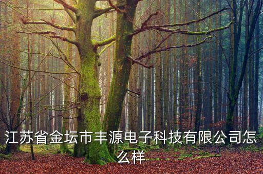 江蘇省金壇市豐源電子科技有限公司怎么樣