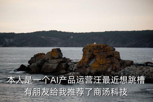 本人是一個(gè)AI產(chǎn)品運(yùn)營(yíng)汪最近想跳槽有朋友給我推薦了商湯科技