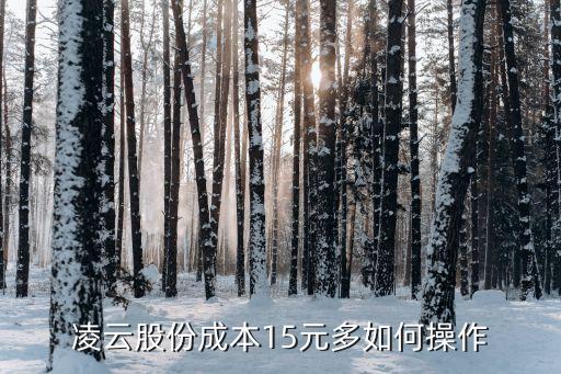 凌云智能科技股價(jià)多少，凌云股份上市發(fā)行價(jià)多少