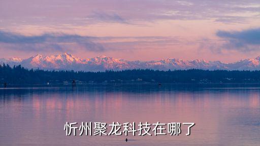 聚龍智能科技招聘電話是多少，關(guān)于聚龍信息臺(tái)