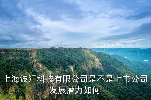 安徽波匯智能科技怎么樣，智匯城市科技有限公司怎么樣智匯城市科技有限公司好不好