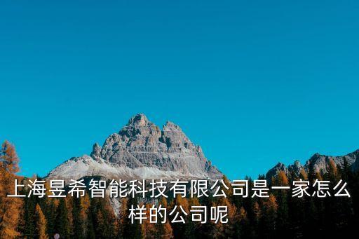 上海昱希智能科技有限公司是一家怎么樣的公司呢