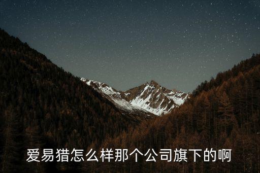 愛易得智能科技怎么樣，愛易獵怎么樣那個公司旗下的啊