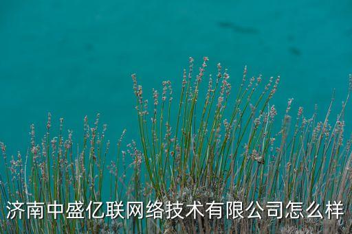濟(jì)南中盛億聯(lián)網(wǎng)絡(luò)技術(shù)有限公司怎么樣