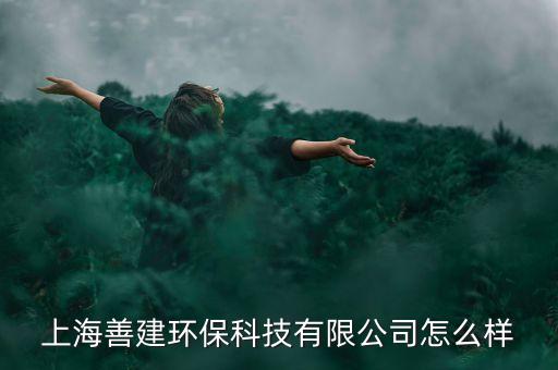 上海善建環(huán)?？萍加邢薰驹趺礃? class=