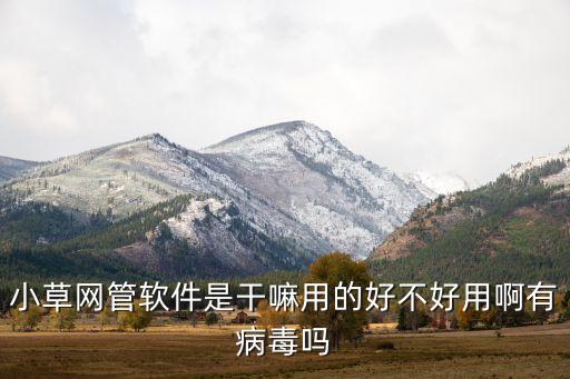 小草網(wǎng)管軟件是干嘛用的好不好用啊有病毒嗎
