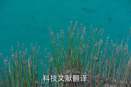 科技文獻(xiàn)翻譯
