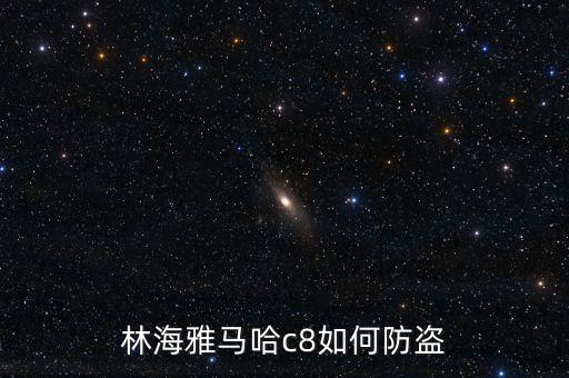林海雅馬哈c8如何防盜