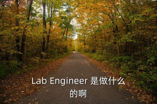 Lab Engineer 是做什么的啊