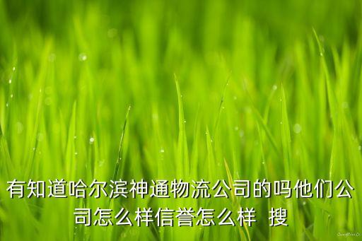 有知道哈爾濱神通物流公司的嗎他們公司怎么樣信譽怎么樣  搜