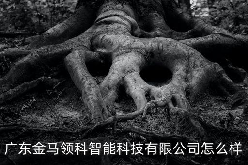 廣東金馬領(lǐng)科智能科技有限公司怎么樣