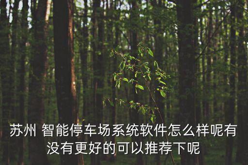 蘇州 智能停車場系統(tǒng)軟件怎么樣呢有沒有更好的可以推薦下呢
