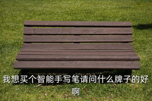 我想買個智能手寫筆請問什么牌子的好啊