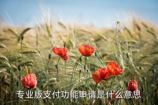 超翔科技智能充電怎么刷卡，動力電可以用手機微信或者支付寶網(wǎng)上支付嗎