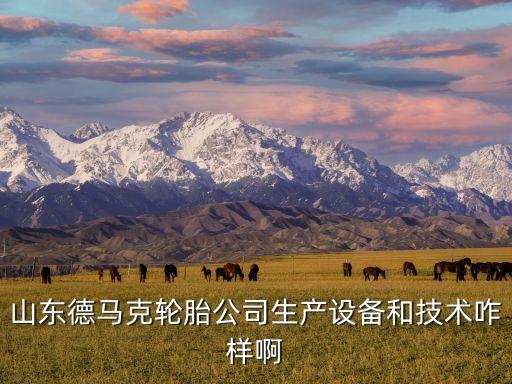 山東德馬克輪胎公司生產(chǎn)設(shè)備和技術(shù)咋樣啊