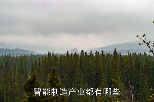 智能制造產(chǎn)業(yè)都有哪些