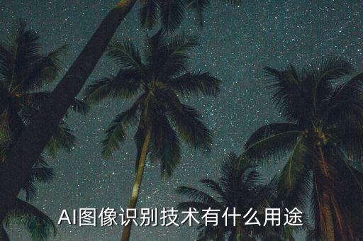 AI圖像識別技術(shù)有什么用途