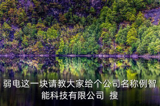 弱電這一塊請教大家給個公司名稱例智能科技有限公司  搜