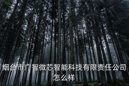 煙臺市廣智微芯智能科技有限責(zé)任公司怎么樣