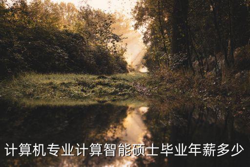 計算機(jī)專業(yè)計算智能碩士畢業(yè)年薪多少