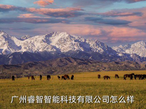 廣州睿智智能科技有限公司怎么樣