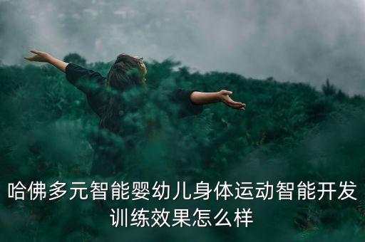 哈佛多元智能嬰幼兒身體運(yùn)動(dòng)智能開(kāi)發(fā)訓(xùn)練效果怎么樣
