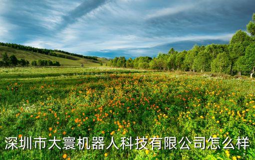 大世智能科技怎么樣，廣東中世發(fā)智能科技股份有限公司怎么樣