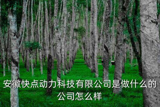 安徽點立智能科技做什么的，合肥點升公司做什么的啊
