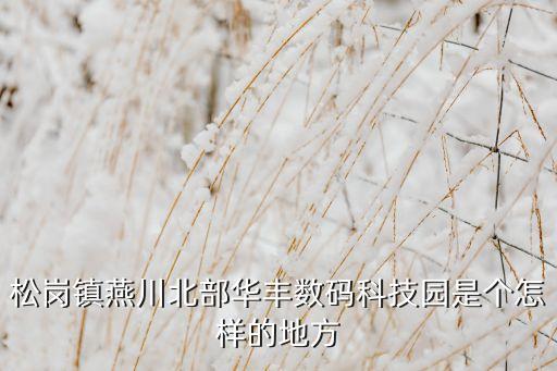 松崗智能科技產(chǎn)業(yè)園在哪里，松崗鼎豐科技園在哪