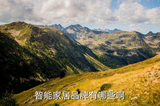 智能家居品牌有哪些啊