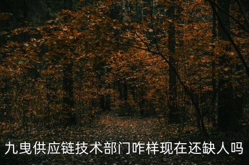 九曳供應鏈技術(shù)部門咋樣現(xiàn)在還缺人嗎