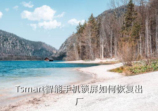 Tsmart智能手機鎖屏如何恢復出廠