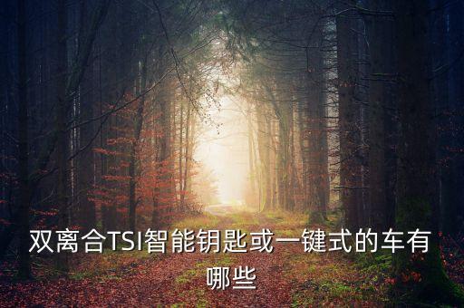 雙離合TSI智能鑰匙或一鍵式的車有哪些
