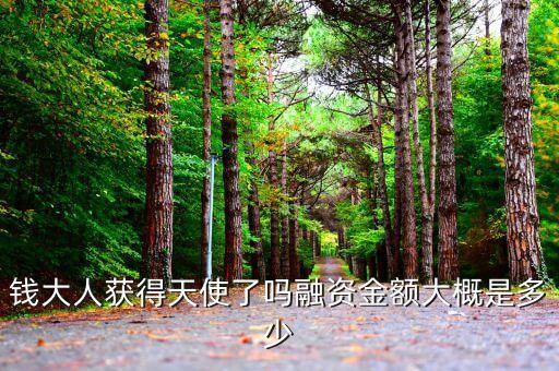錢大人獲得天使了嗎融資金額大概是多少