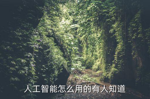 人工智能怎么用的有人知道