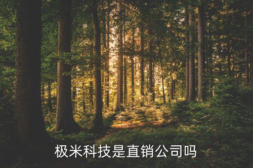 極米科技是直銷公司嗎