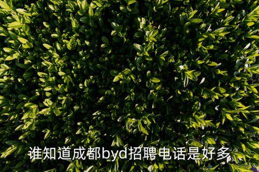 承維智能科技招聘電話是多少，誰知道成都byd招聘電話是好多