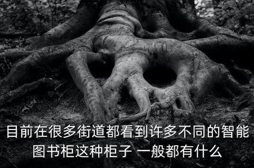 目前在很多街道都看到許多不同的智能圖書(shū)柜這種柜子 一般都有什么
