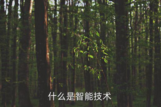 什么是智能技術(shù)