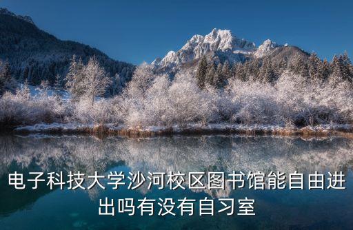 電子科技大學(xué)沙河校區(qū)圖書館能自由進(jìn)出嗎有沒有自習(xí)室