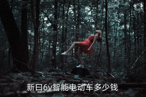 新曰6v智能電動車多少錢