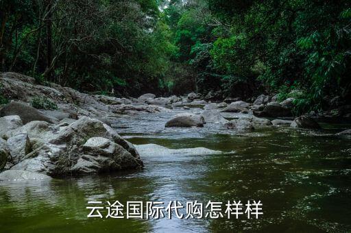 云途國(guó)際代購(gòu)怎樣樣