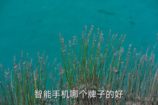 科技智能手機什么牌子好，智能手機什么品牌好