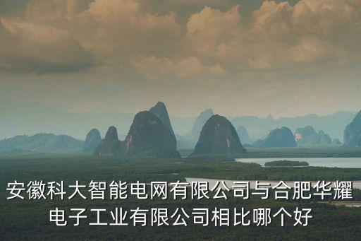 安徽科大智能電網(wǎng)有限公司與合肥華耀電子工業(yè)有限公司相比哪個(gè)好