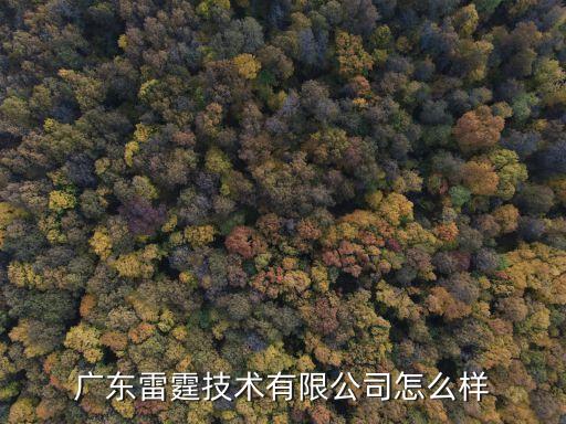 廣東雷霆技術(shù)有限公司怎么樣