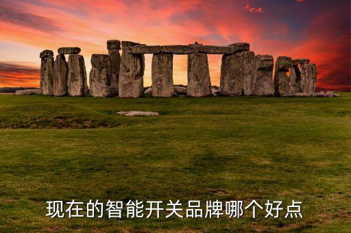 現(xiàn)在的智能開關(guān)品牌哪個好點(diǎn)