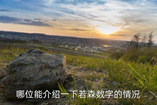 哪位能介紹一下若森數(shù)字的情況
