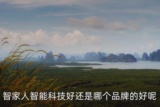 智家人智能科技好還是哪個品牌的好呢