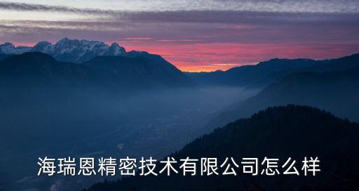 海瑞恩精密技術(shù)有限公司怎么樣